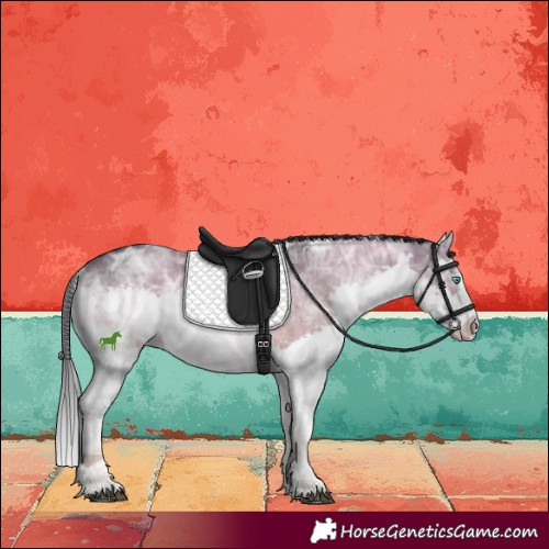 Horse Color:White Spotted Brown Ice Dun Splash 