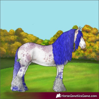 Horse Color:Watercolor White Spotted Bay Ice Dun Sabino Splash