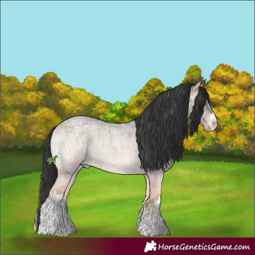 Horse Color:White Spotted Brown Ice Roan Onyx Rabicano 