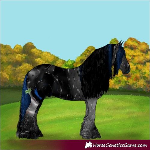 Horse Color:ERROR: UNKNOWN ANOMALY