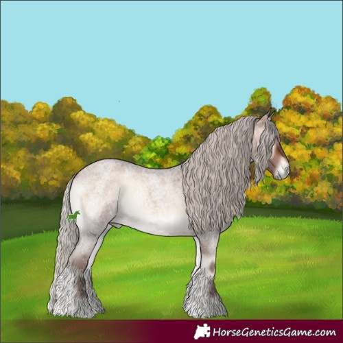 Horse Color:Silver Brown Roan Onyx Sabino 