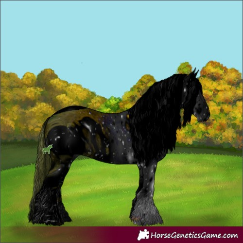 Horse Color:ERROR: UNKNOWN ANOMALY
