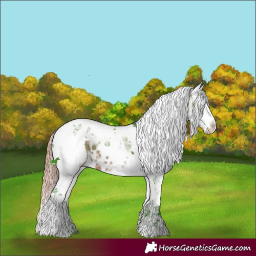Horse Color:Watercolor Bay Ice Mushroom Sabino Splash Appaloosa 