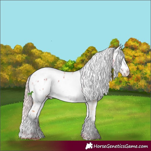 Horse Color:Watercolor Chocolate Palomino Ice Sabino Splash Appaloosa 