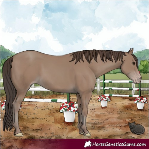 Horse Color:Classic Champagne 