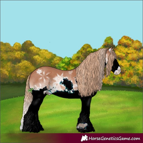 Horse Color:White Spotted Chestnut Ice Splash 