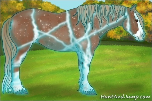 Horse Color:Thunderstruck Chestnut Splash 