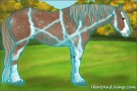Horse Color:Thunderstruck Chestnut Splash 