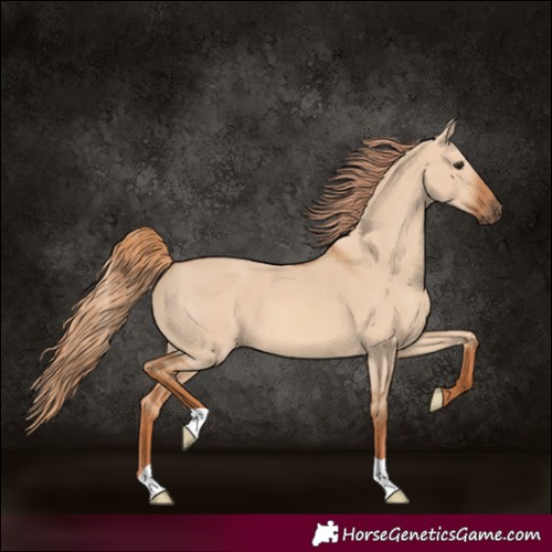 Horse Color:Red Dun 