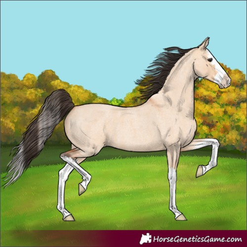 Horse Color:Bay Roan Dun Splash 