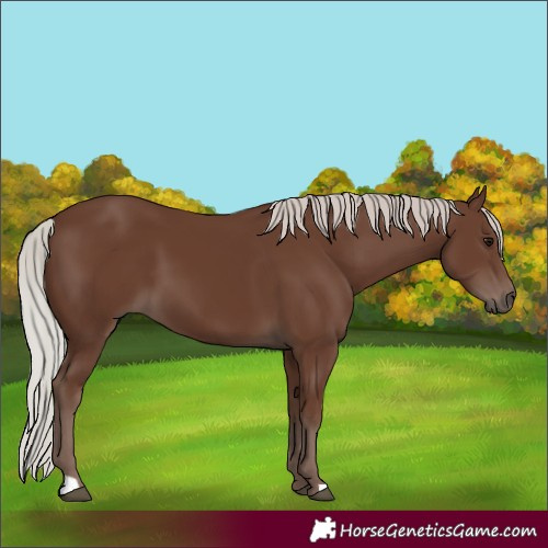 Horse Color:Silver Black 