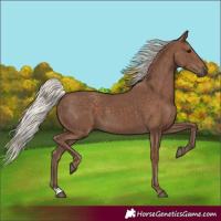 Horse Color:Silver Black 