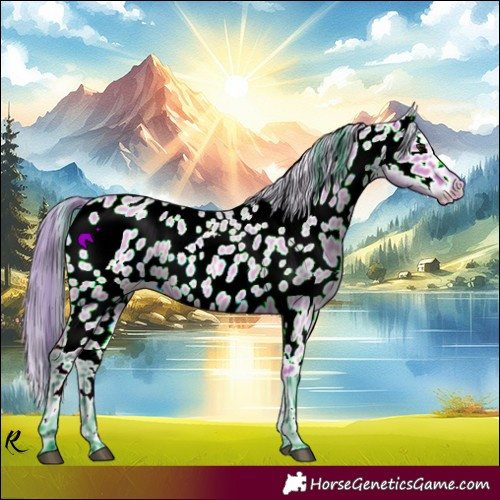 Horse Color:Watercolor Bay Roan Dun Appaloosa 