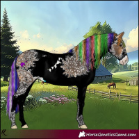 Horse Color:Painted White Spotted Buckskin 