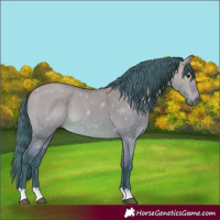 Horse Color:Watercolor Bay Dun