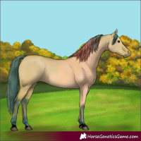 Horse Color:Watercolor Bay Dun
