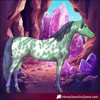 Horse Color:Watercolor Bay Dun Appaloosa 
