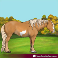 Horse Color:Palomino Frame 