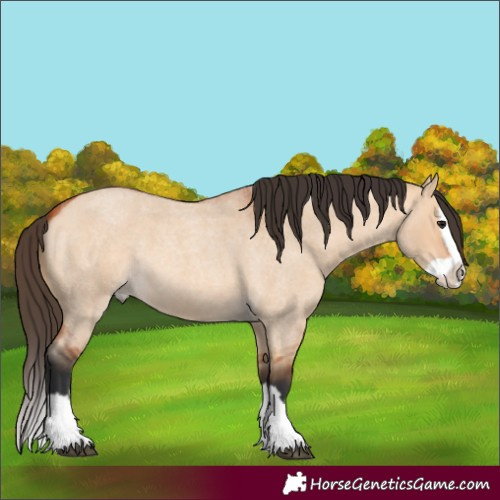 Horse Color:Bay Roan Dun Splash