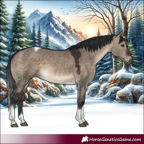 Horse Color:Brown Dun Tobiano