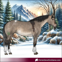 Horse Color:Brown Dun Tobiano