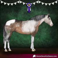 Horse Color:White Spotted Brown Dun Tobiano 