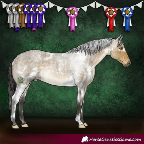 Horse Color:White Spotted Buckskin Roan Dun Rabicano 