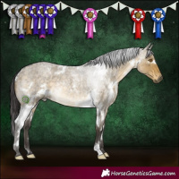 Horse Color:White Spotted Buckskin Roan Dun Rabicano 