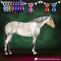Horse Color:White Spotted Buckskin Roan Dun Rabicano 