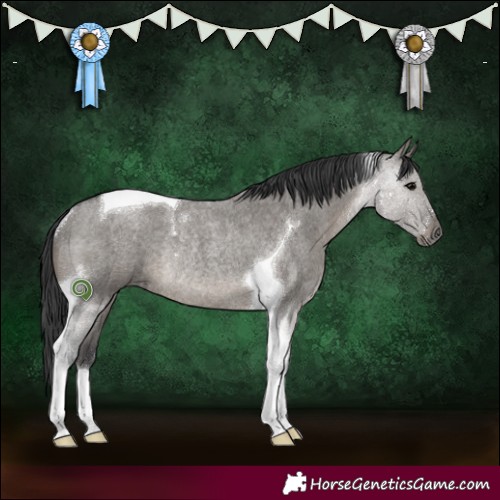 Horse Color:Grullo Roan Tobiano Rabicano 