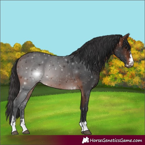 Horse Color:Brown 