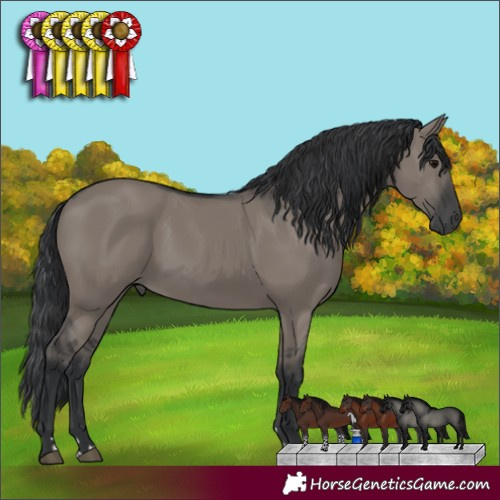 Horse Color:Grullo 