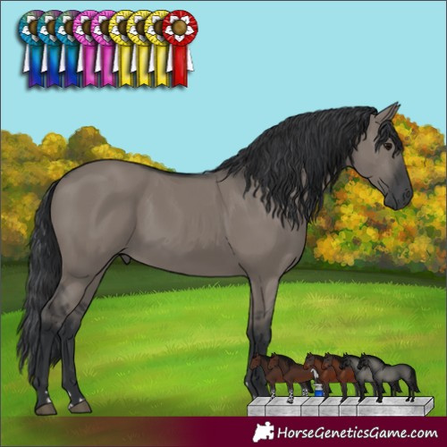 Horse Color:Grullo 
