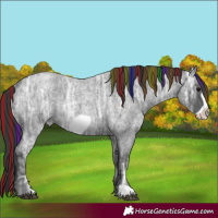 Horse Color:Painted Blue Ice Roan Frame