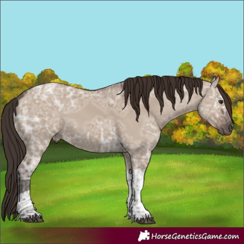 Horse Color:Liver Red Dun Ice Tobiano 