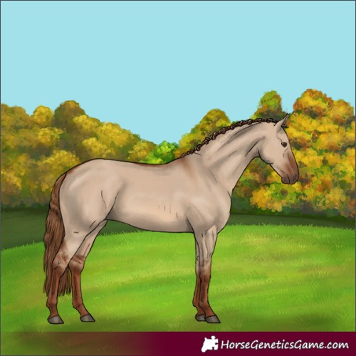 Horse Color:Red Dun