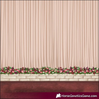 Horse Color:Gold Champagne Splash