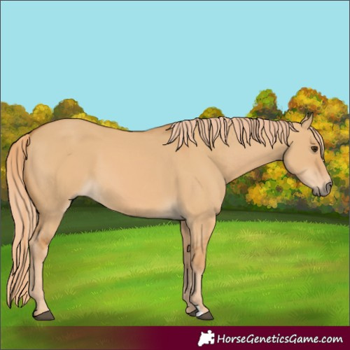 Horse Color:Red Dun