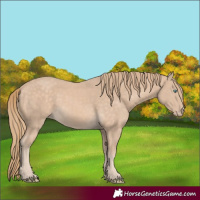 Horse Color:Perlino 