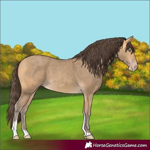 Horse Color:Amber Cream Champagne Tobiano 