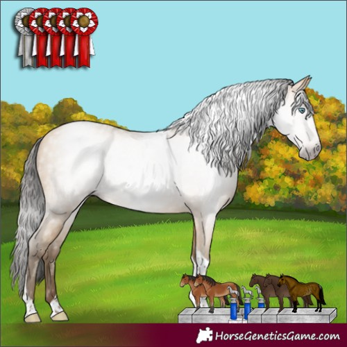 Horse Color:Gray Amber Cream Champagne Tobiano Rabicano 