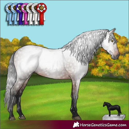 Horse Color:Gray Bay 