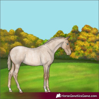 Horse Color:Chocolate Palomino Roan Pearl 