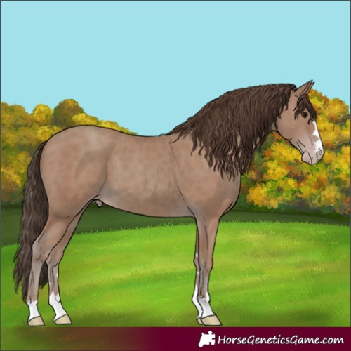 Horse Color:Classic Champagne 