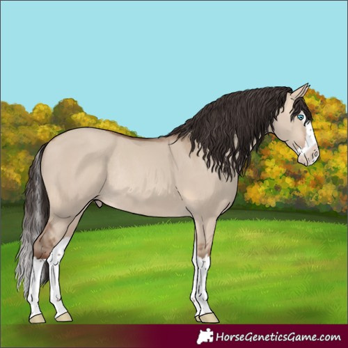 Horse Color:Sable Champagne Dun Splash Rabicano 