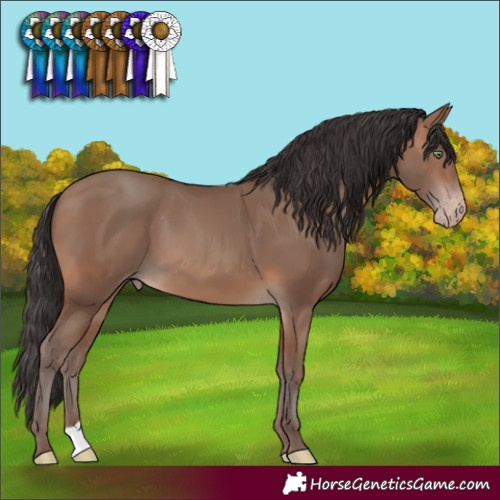 Horse Color:Sable Champagne 