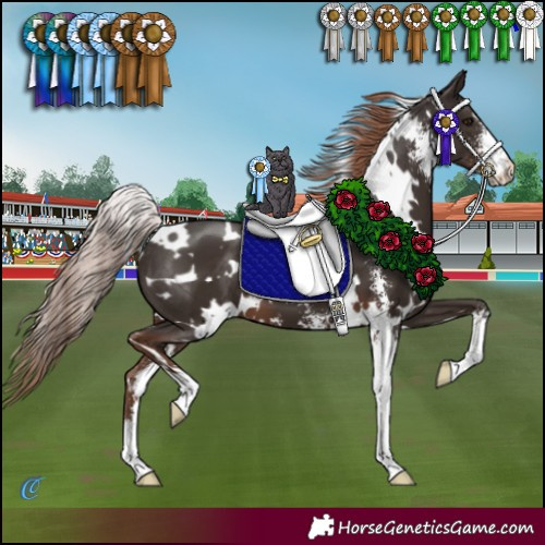 Horse Color:White Spotted Liver Chestnut Sabino 