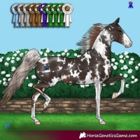 Horse Color:White Spotted Liver Chestnut Sabino 