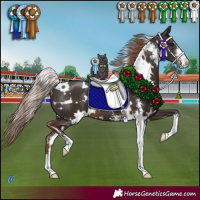 Horse Color:White Spotted Liver Chestnut Sabino 