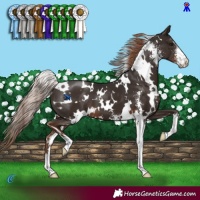 Horse Color:White Spotted Liver Chestnut Sabino 